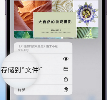 高县apple维修中心分享iPhone文件应用中存储和找到下载文件