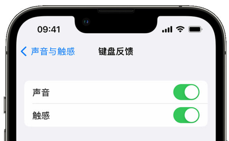 高县苹果手机维修分享iPhone 14触感键盘使用方法 