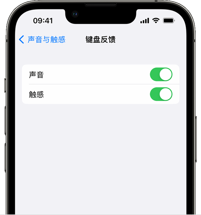 高县苹果14维修店分享如何在 iPhone 14 机型中使用触感键盘 