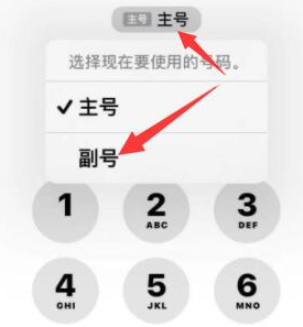 高县苹果14维修店分享iPhone 14 Pro Max使用副卡打电话的方法 