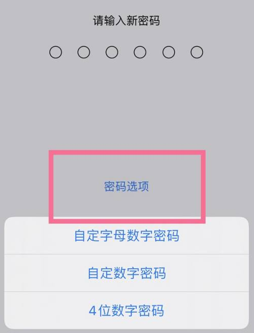 高县苹果14维修分享iPhone 14plus设置密码的方法 