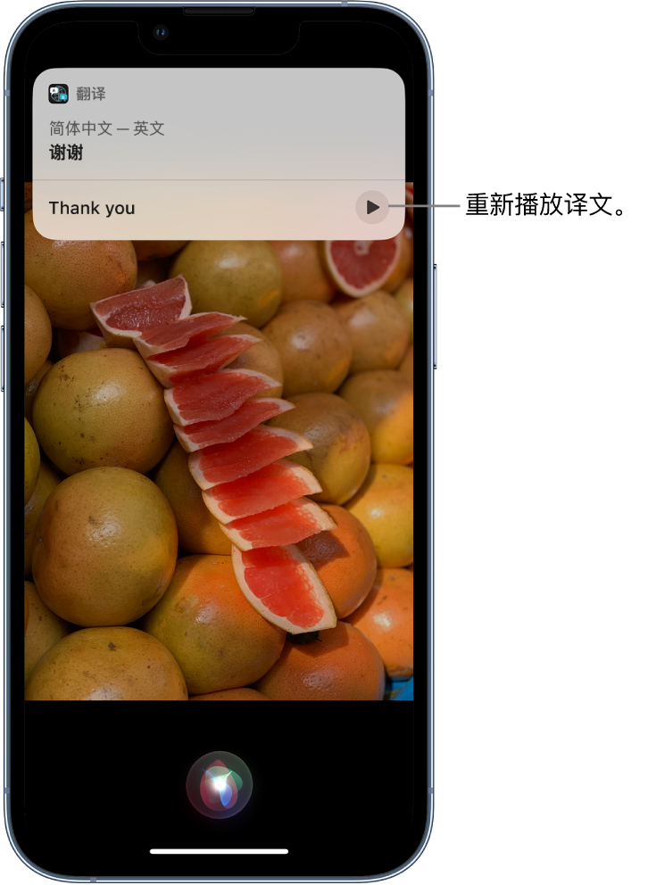 高县苹果14维修分享 iPhone 14 机型中使用 Siri：了解 Siri 能帮你做什么 