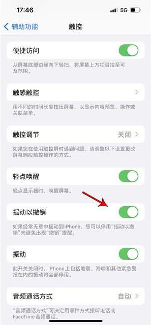 高县苹果手机维修分享iPhone手机如何设置摇一摇删除文字 