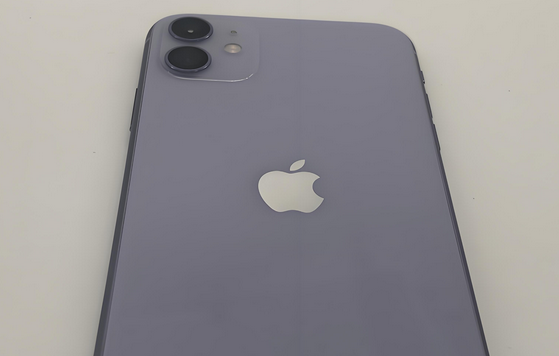 高县苹果11系统维修分享iPhone11手机系统崩溃无法开机如何解决 